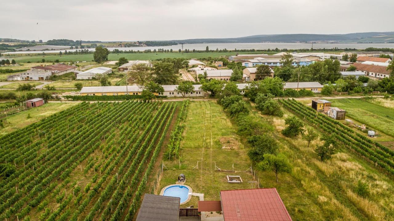 Penzion S Restauraci Na Furhaple Sakvice Bagian luar foto